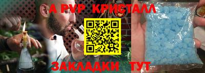 кокс Кингисепп