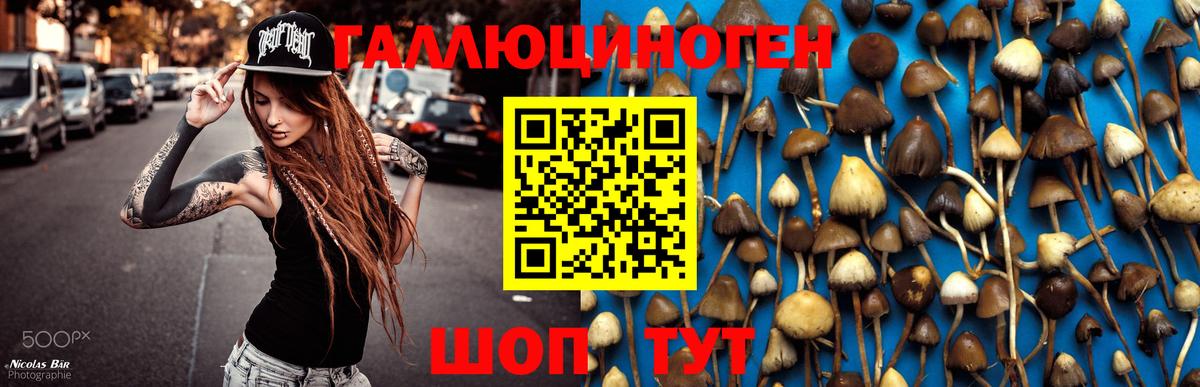 Галлюциногенные грибы мухоморы  сколько стоит  Крымск  Вход с VPN 